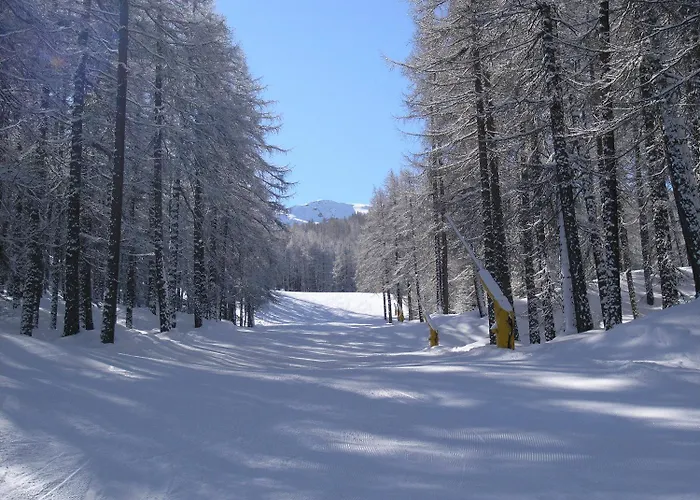 Martin Отель 3*